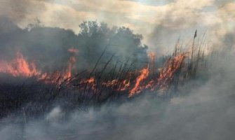 Požar u Ulcinju: Gorjelo u zaleđu Velike plaže