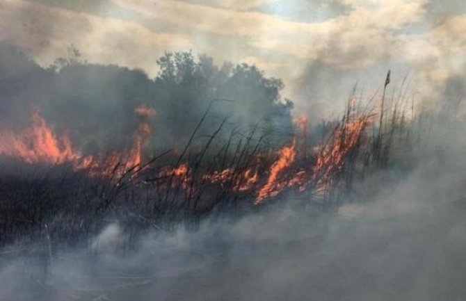 Požar u Ulcinju: Gorjelo u zaleđu Velike plaže