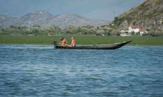 Skadarsko jezero: Prirodni rezervat rijetkih ptica i riba, kudravi pelikan zaštitni znak jezera