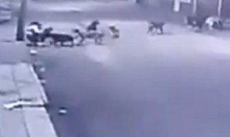 Uznemirujući sadržaj: Čopor bijesnih pasa skoro rastrgao ženu (Video)