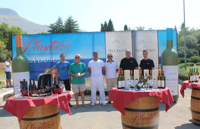 Smotra Mercedes-benc vozila u Šipčaniku