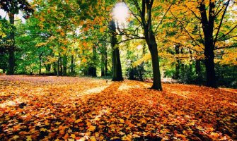 Septembar 2016. će srušiti sve rekorde