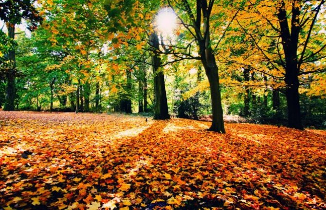 Septembar 2016. će srušiti sve rekorde