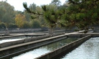  Krivične prijave za pomor ribe