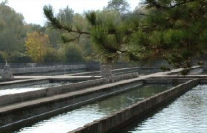  Krivične prijave za pomor ribe