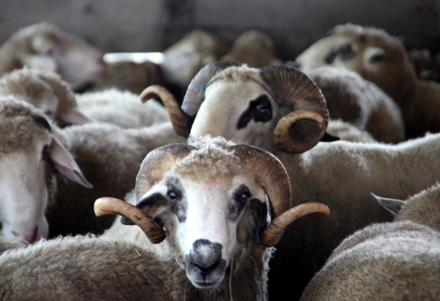 2016090921902133514023866Web