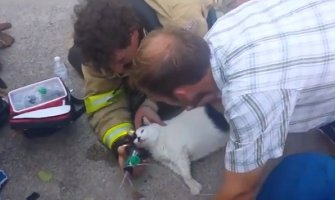 Vatrogasci oživljavali mačku pola sata nakon požara (Video)
