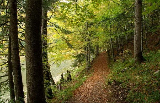 Njemački turisti pronađeni na Biogradskom jezeru