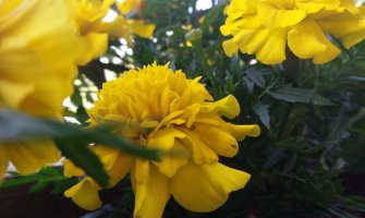 Evo kakvo vas vrijeme očekuje narednih dana