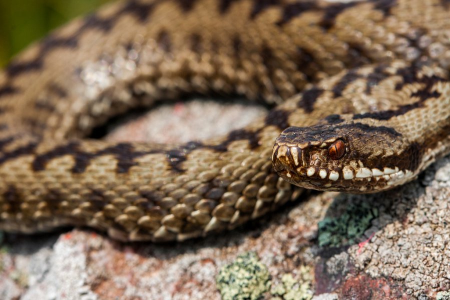 9452442276cb692ddf99b