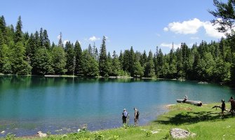 Uspostavljanje prvobitnog autohtonog stanja faune u jezerima NP Durmitor