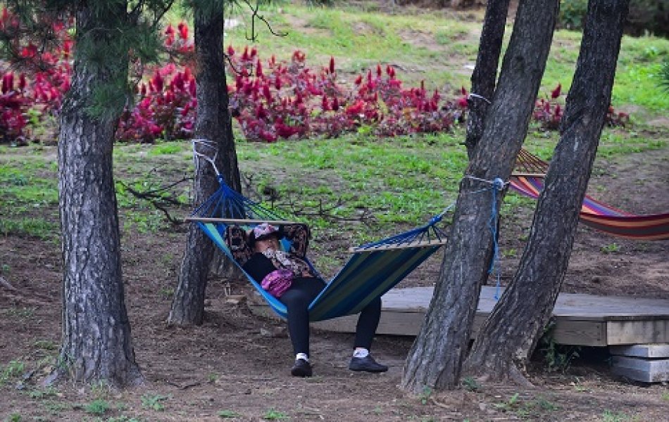 2016091721912740114247607Web