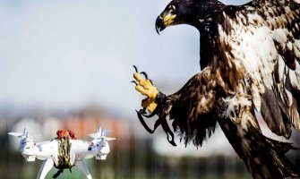 Holandija: Krilatim ratnicima protiv dronova