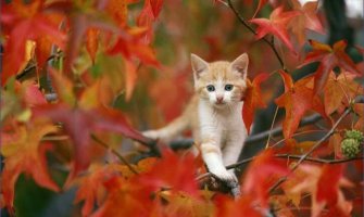 Danas i sjutra sunčano i toplo