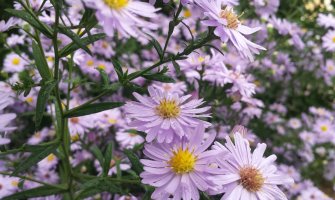 Pretežno sunčano, do 26 stepeni