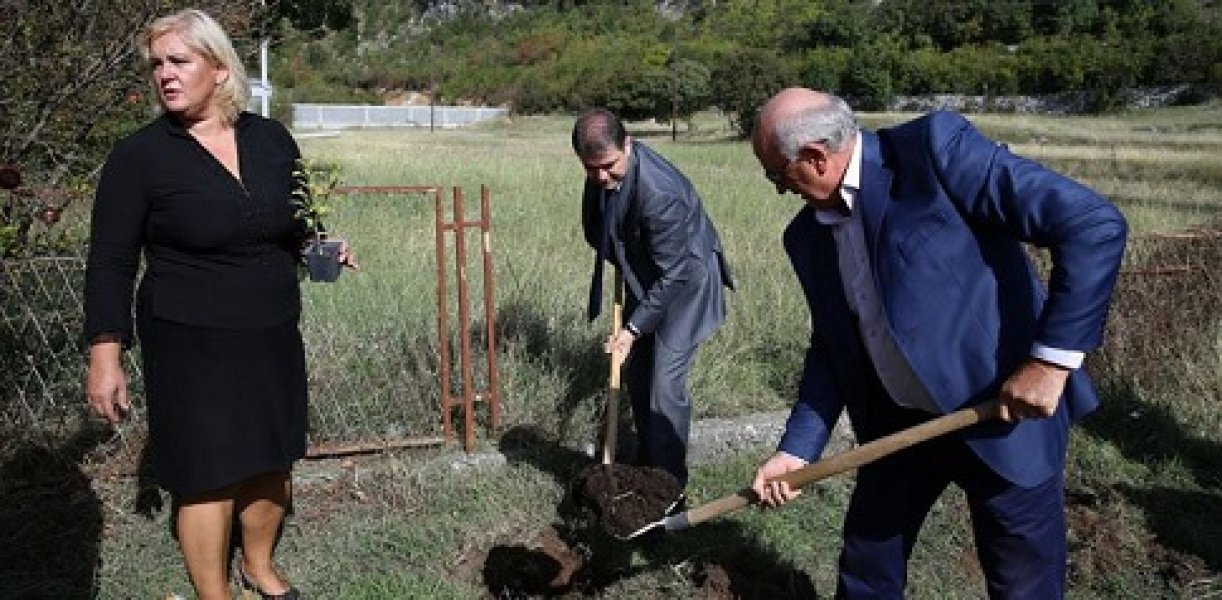 57f272221ee04fe28799318a0a0a0a69petar1preview