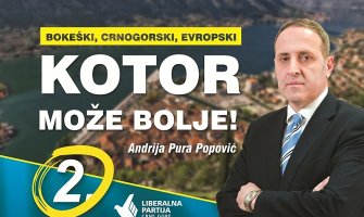 Čađenović: Liberali će hitno izraditi prostorni plan i zaštiti Kotor