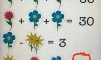 Ova mozgalica  je posvađala internet, možete li da je riješite?