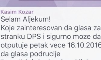 Obezbijeđen let avionom za glasače DPS-a iz dijaspore?