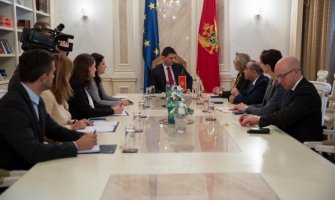 Pajović: Izbori će biti više fer i demokratski nego prethodni