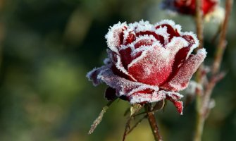 Vremenska prognoza: Očekuje nas blaga zima