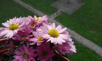 Danas pretežno sunčano