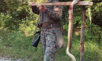 BiH: Ubio džinovsku zmiju dugu tri metra štapom!