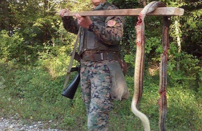 BiH: Ubio džinovsku zmiju dugu tri metra štapom!