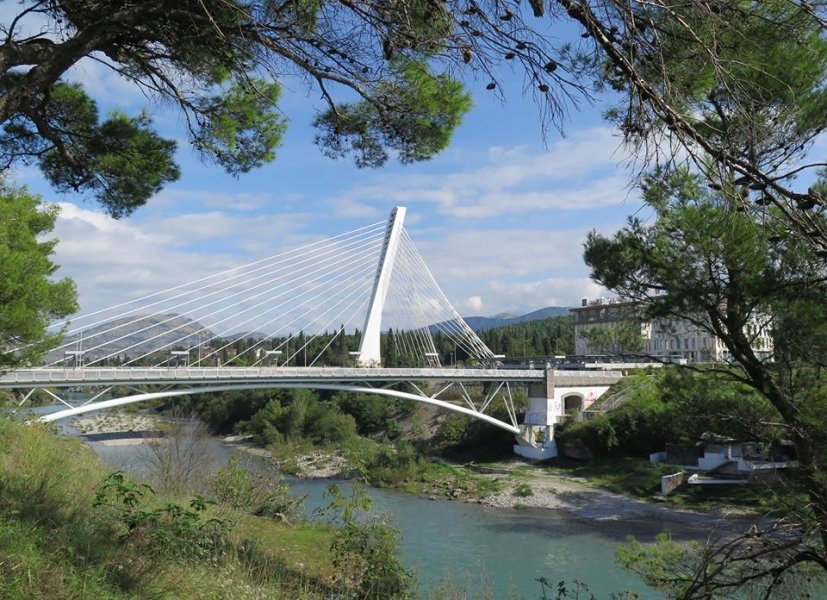 146947025300972038499121345205558n