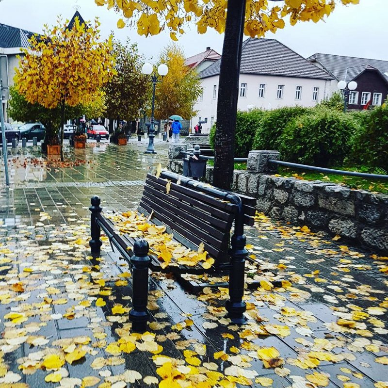 147255685532192848754947596795624868095219n