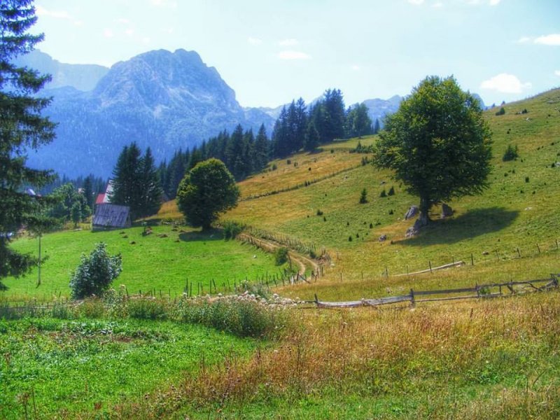 1464242911542602646623905726164959146046673n