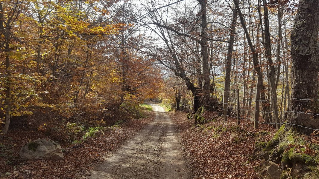 148760711704315467483141259039701o