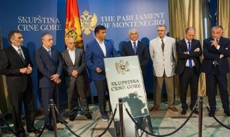 DF odustaje od protesta koji su bili planirani za decembar