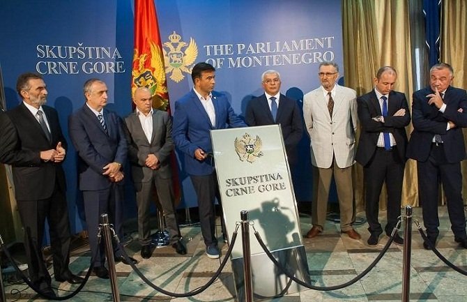 DF odustaje od protesta koji su bili planirani za decembar