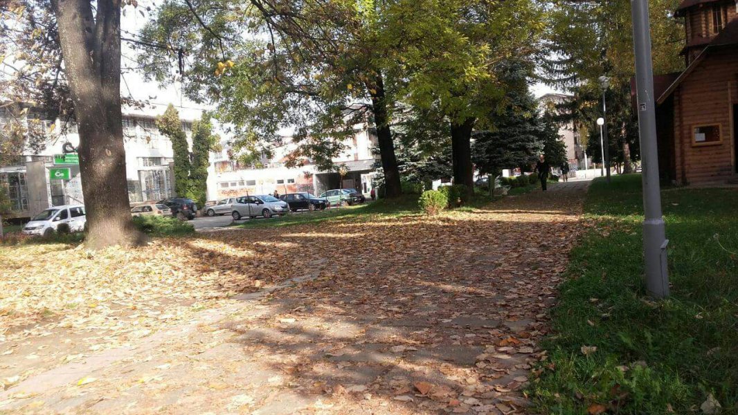 14274315170729803385155932496775o