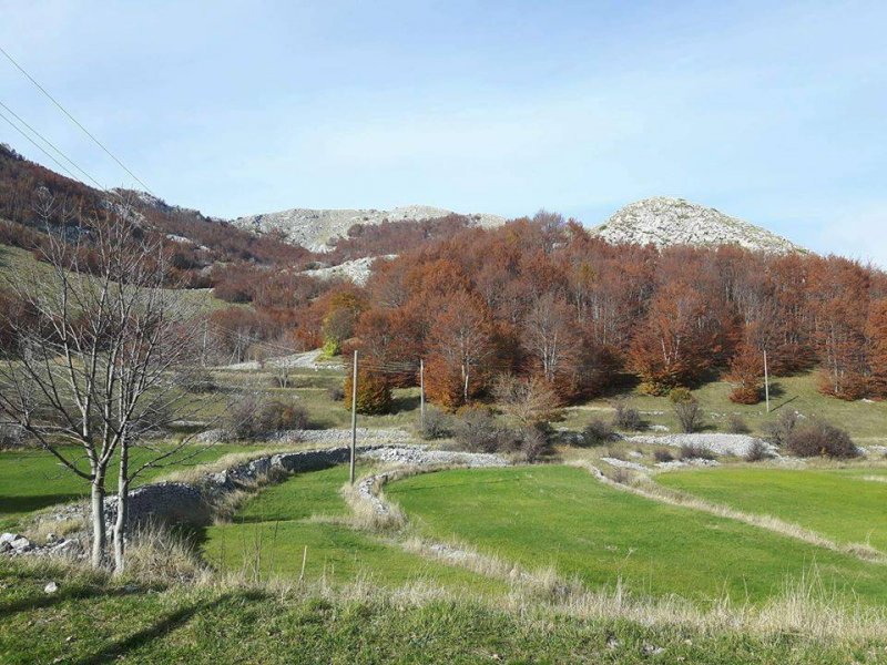 148771565410658294237681564635206n