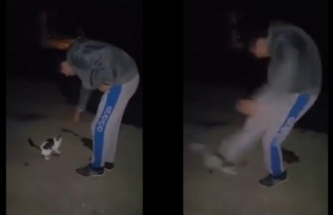 Krivična prijava protiv Novljanina koji je šutirao mačku