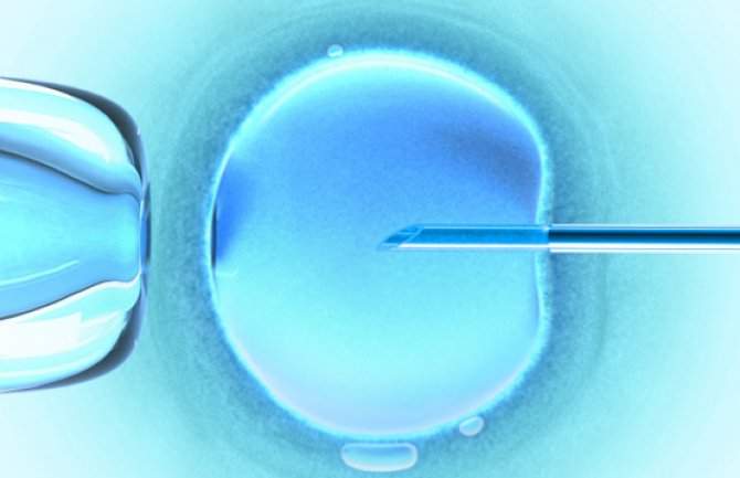 Za vantjelesnu oplodnju privatnim klinikama 300.000 eura