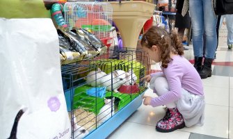  19. i 20. novembra drugi sajam kućnih ljubimaca 