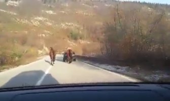 Nesvakidašnji prizor: Konje vukao automobilom! (VIDEO)