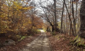 Narednih dana suvo, za vikend ponovo kiša