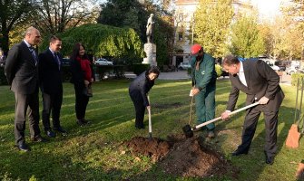 Posađena japanska trešnja u Podgorici: Simbol prijateljstva sa narodom Japana