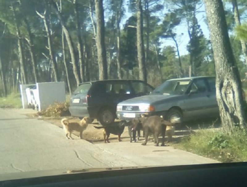 HTB1bJAoLVXXXXaNXVXXq6xXFXXX41