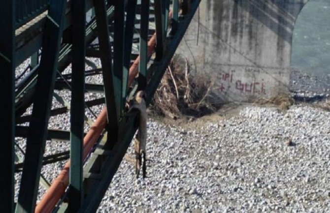 Vlahović: Zbog vašeg nerada mi postajemo bolesno društvo