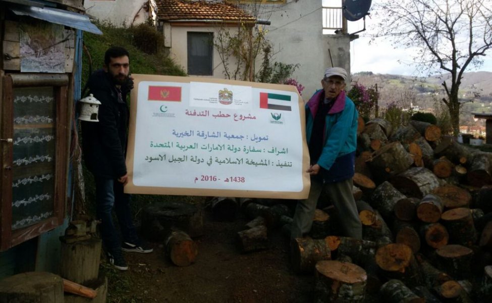 2011IZdrvazaogrijev3