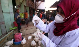 Ptičiji grip se ubrzano širi sjeverom Evrope