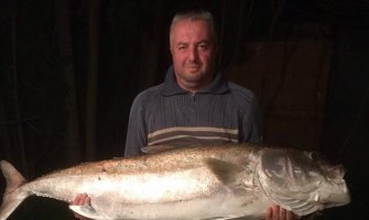 Podgoričanin ulovio gofa od 50 kilograma