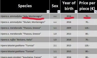 Crnogorski poskoci se prodaju preko interneta (FOTO)