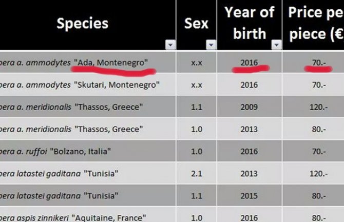 Crnogorski poskoci se prodaju preko interneta (FOTO)