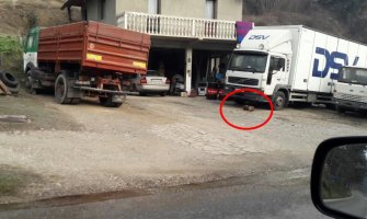 Bijelo Polje: Pas zavezan za kamion duži vremenski period bez hrane